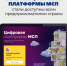 цифровая платформа поддержки предпринимателей МСП.РФ - фото - 1 - Починковский район
