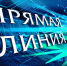 прямая линия Главы округа Александра Голуба - фото - 2 - Починковский район